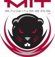 MIT Engineers