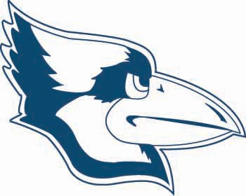 17 Westminster Mo Blue Jays American Football Wiki Fandom