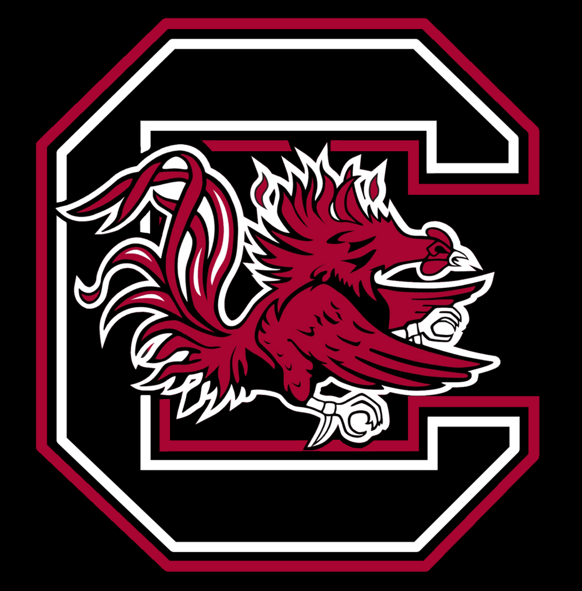 South Carolina Gamecocks | American Football Wiki | Fandom