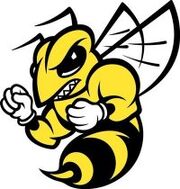 Randolph macon yellow jackets.jpg