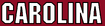 NCAA-SEC-SC Gamecocks Carolina red wordmark