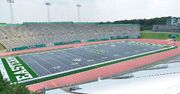 Rynearson Stadium.jpg