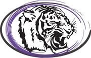 Iowa Wesleyan Tigers.jpg