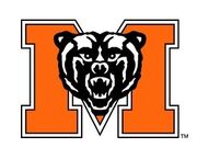 Mercer bears