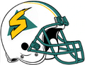 Sacramento Surge helmet