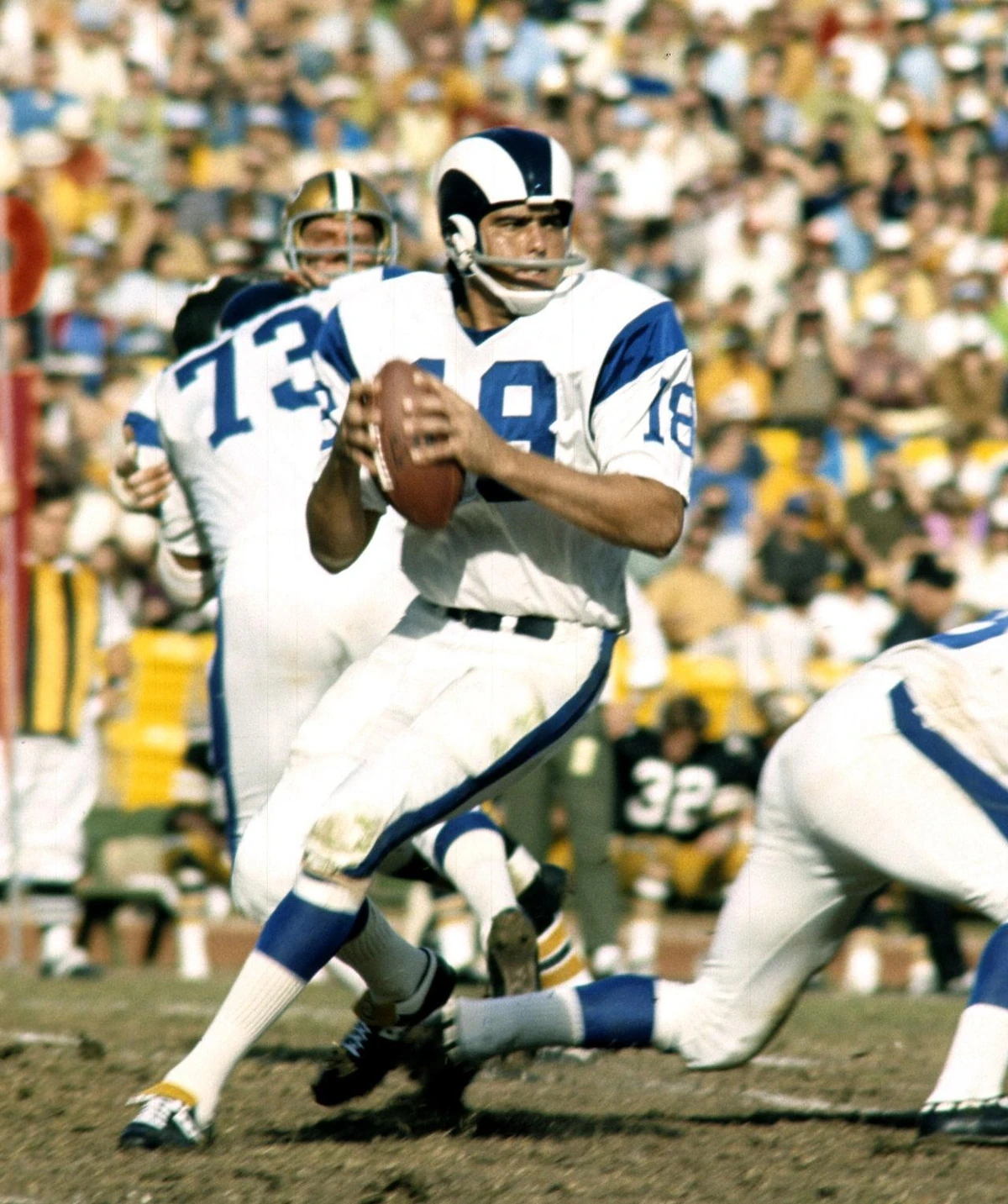 Roman Gabriel American Football Wiki Fandom