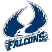 St. Augustine's Falcons.jpg