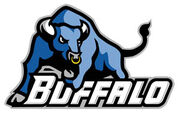 Buffalo Bulls