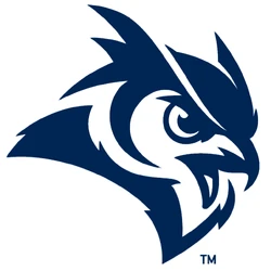 College Flags And Banners Co- Rice Owls Windsock