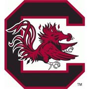 South Carolina Gamecocks.jpg