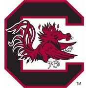 South Carolina Gamecocks