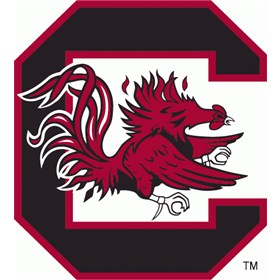 South Carolina Gamecocks football - Wikipedia