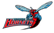 Delaware-State-Hornets