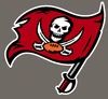 1997-2013 TB Buccaneers logo - pewter background.png (1.68 MB)