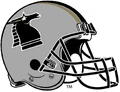 New York/New Jersey Knights helmet