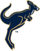 Akron Zips 2002-Pres Alternate Logo