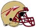 Florida State Helmet