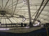 Tropicana Field Catwalks