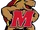 1992 Maryland Terrapins