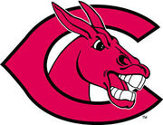 Central Missouri Mules