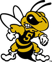 West-Virginia-State-Yellow-Jackets