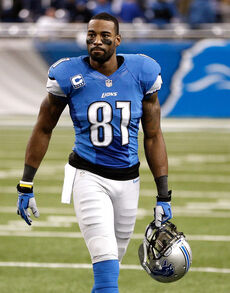 1,051 Calvin Johnson American Football Player Stock Photos, High