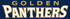 FIU Golden Panthers wordmark-Navy Blue background