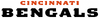 NFL-AFC-CIN-Bengals wordmark