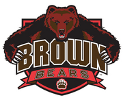 Brown Bears