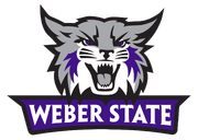 Weber-state-wildcats-1990-2023-logo and wordmark