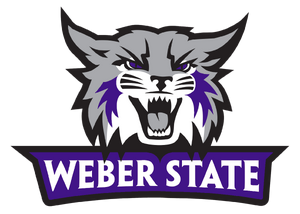 Weber-state-wildcats-1990-2023-logo and wordmark