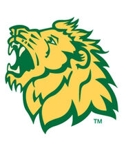 Missouri Southern Lions.jpg