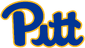 Panthers logo, 2005-15.