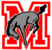 Muhlenberg Mules