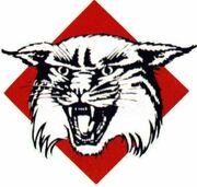 Davidson Wildcats