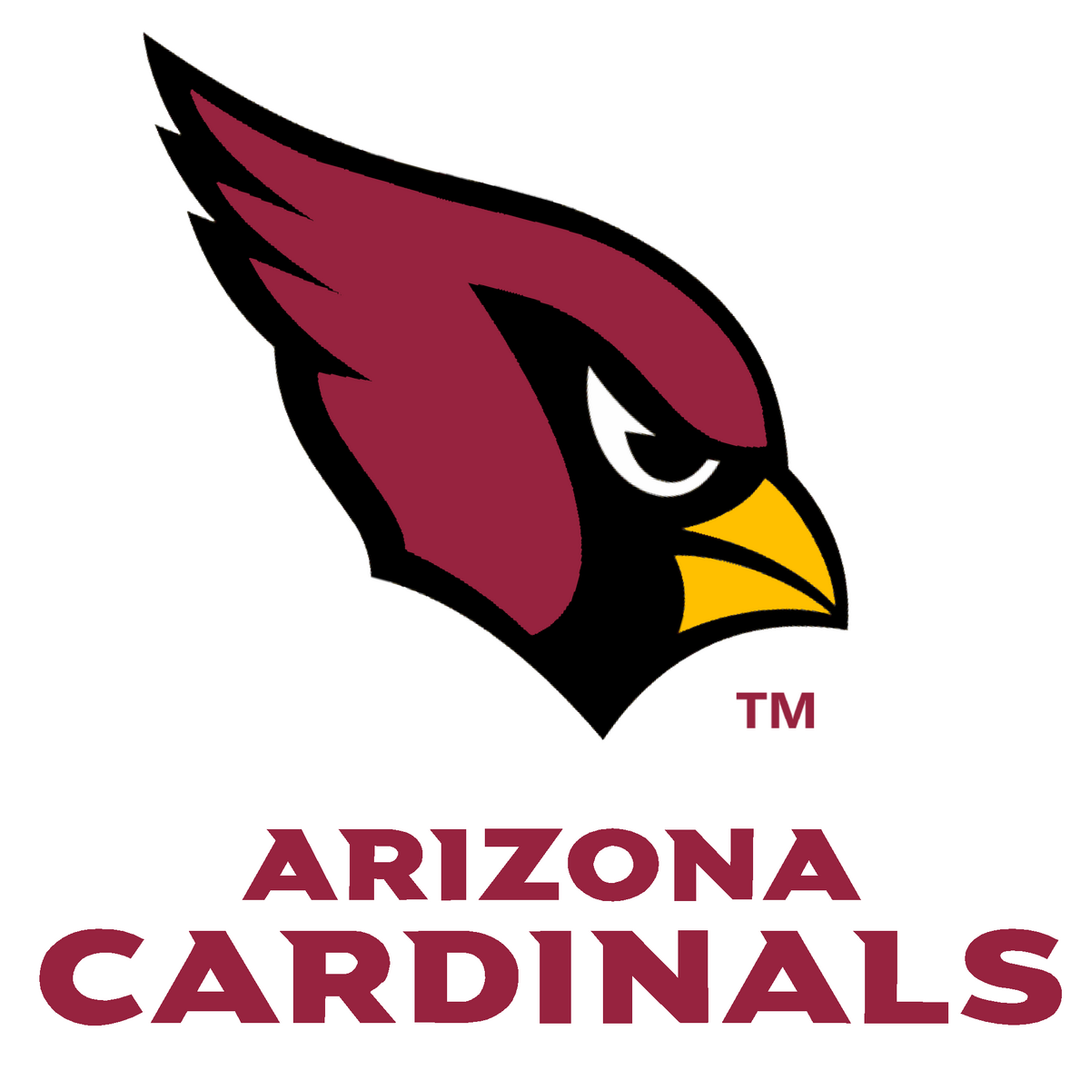 Arizona Cardinals  NFL Football Operations