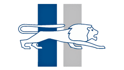 New Detroit Lions Logo 5 By Steve - Detroit Lions New PNG Image