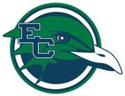 Endicott Gulls