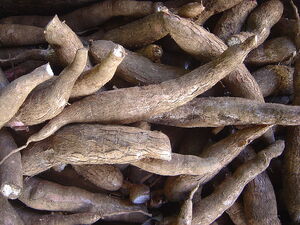 Yuca.jpg