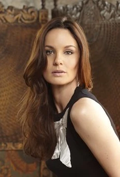 Sarah Wayne Callies Prison Break Hot