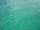 2E8B57 Seagreen