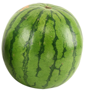 Green Watermelon