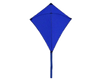 Blue Kite