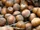 Hazelnut