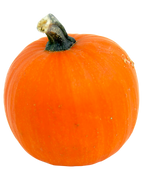 Orange Pumpkin