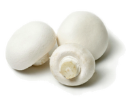 White Mushrooms