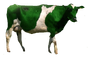 Green Cow