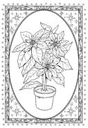 Plant A Poinsettia