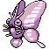 Venomoth