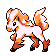 Ponyta